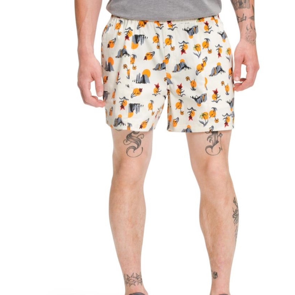 THE NORTH FACE CLASS V PULL ON SHORTS MEN'S VINTAGE WHITE VALLEY SUN‎ PRINT